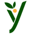 Yadag Technologies Inc.